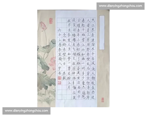 我与书写同行2026年小学生书写比赛精彩回顾与未来展望