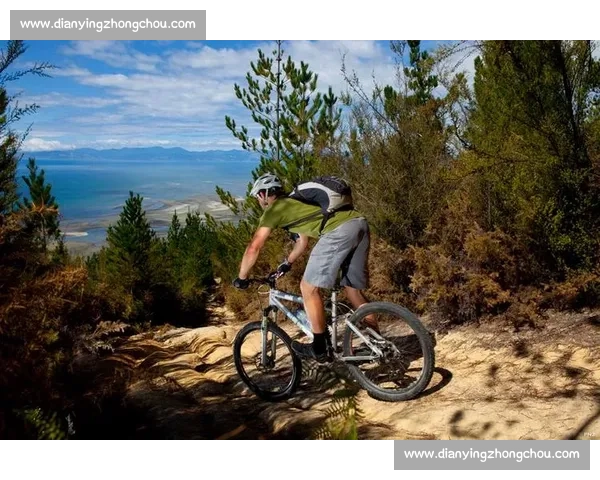 新西兰赛事盛况：跨越国界的竞技挑战与体育精神全解析