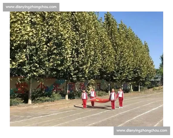 歌咏比赛中的自我成长与团队合作体验心得分享